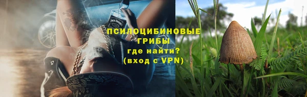гидропоника Алзамай
