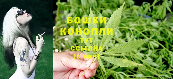 гидропоника Алзамай