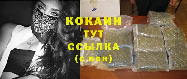 гидропоника Алзамай