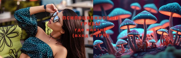 гидропоника Алзамай