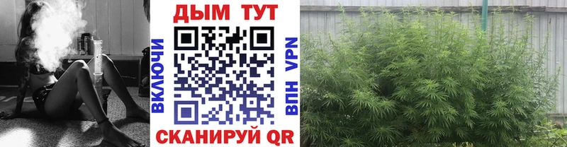 МАРИХУАНА OG Kush Гусь-Хрустальный